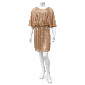 Rome Rose Gold & Champagne Cocktail Dress